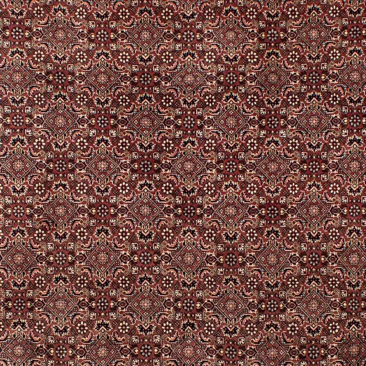 Tapis persan - Nomadic - 307 x 192 cm - marron