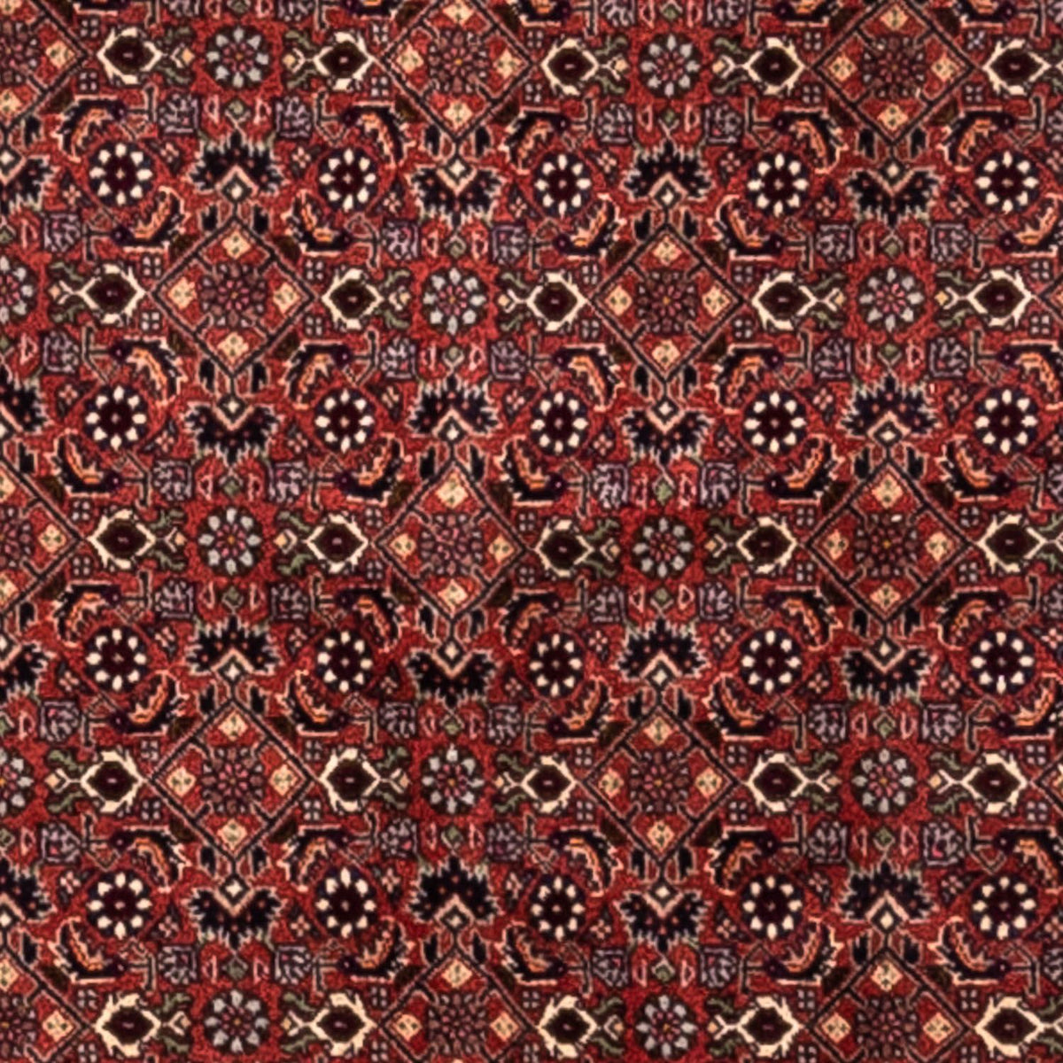 Tapis persan - Bidjar - 293 x 200 cm - rouge