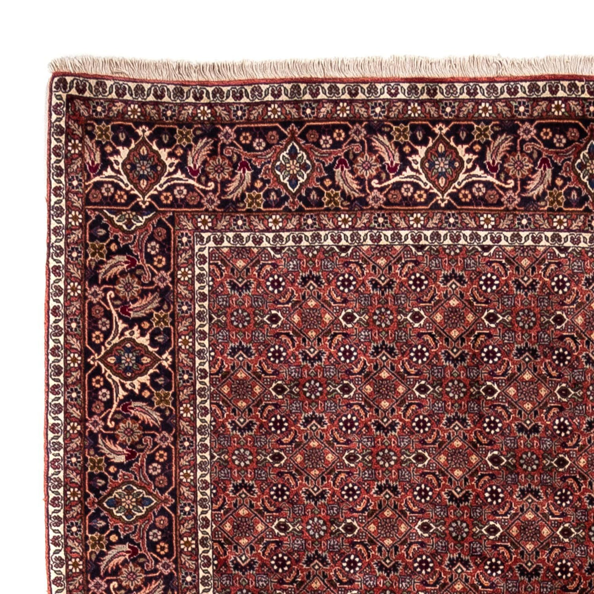 Tapis persan - Bidjar - 293 x 200 cm - rouge
