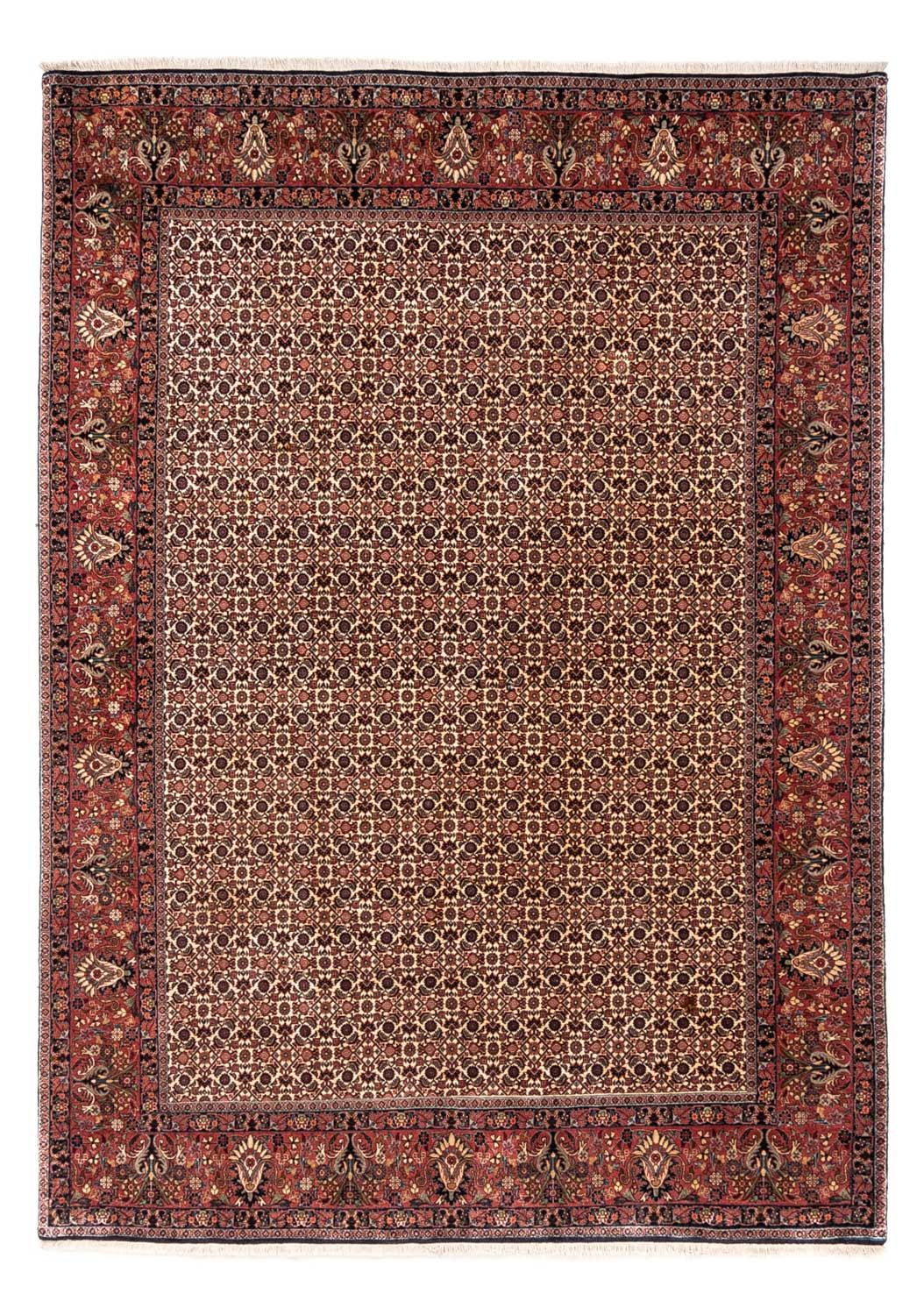 Tapis persan - Bidjar - 287 x 208 cm - beige