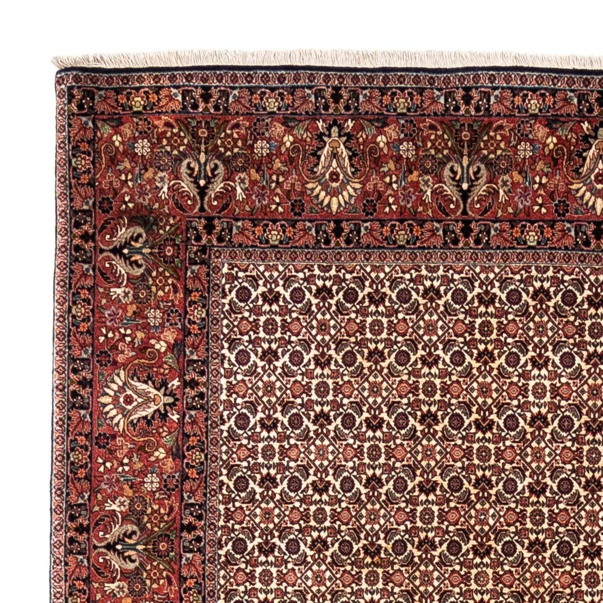 Tapis persan - Bidjar - 287 x 208 cm - beige