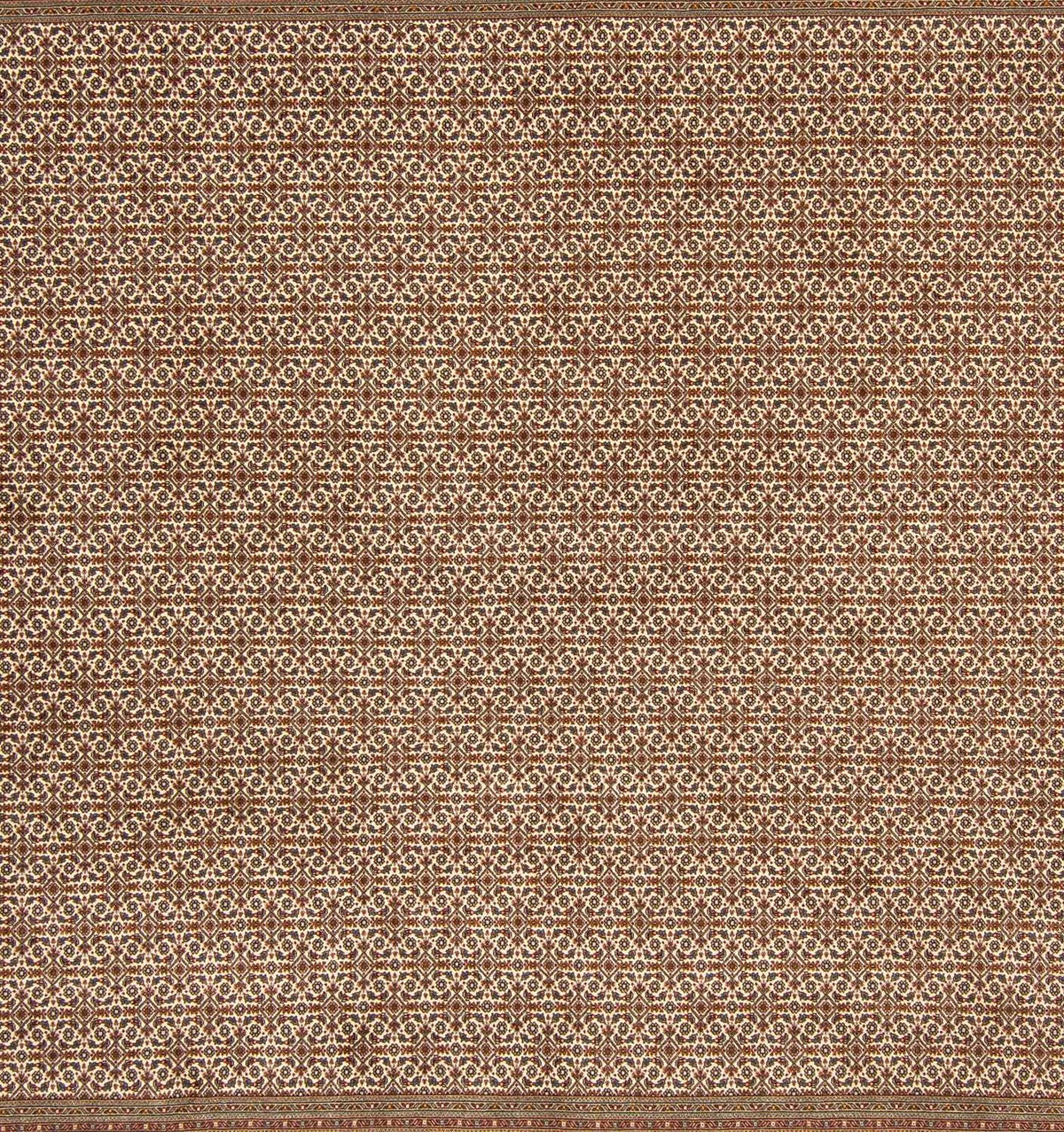 Tapis persan - Tabriz carré - 258 x 251 cm - marron clair