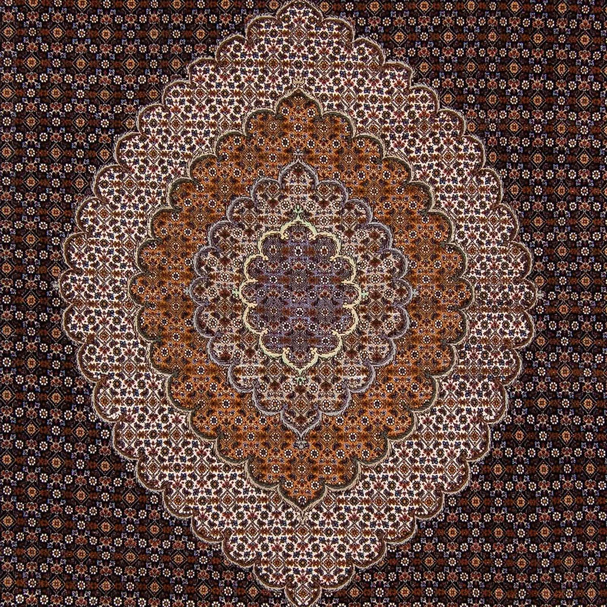 Tapis persan - Tabriz - 340 x 255 cm - marron foncé