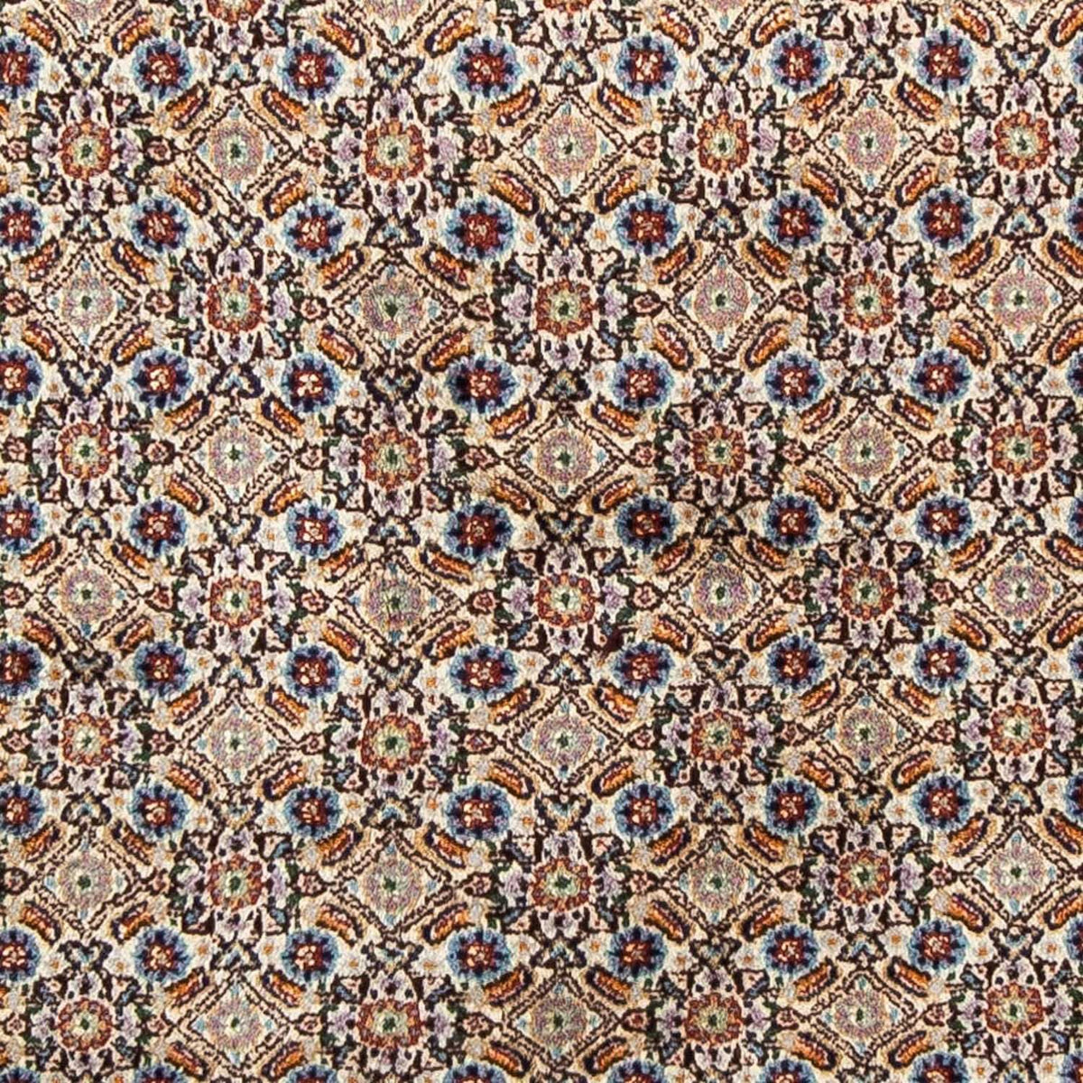 Tapis persan - Classique - 246 x 168 cm - beige