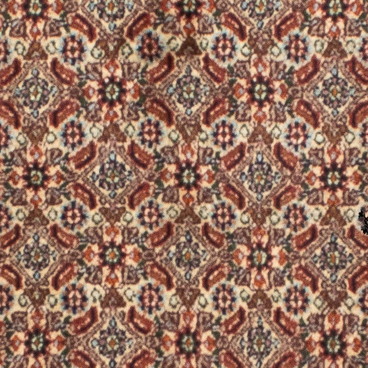 Tapis de couloir Tapis persan - Classique - 246 x 80 cm - beige