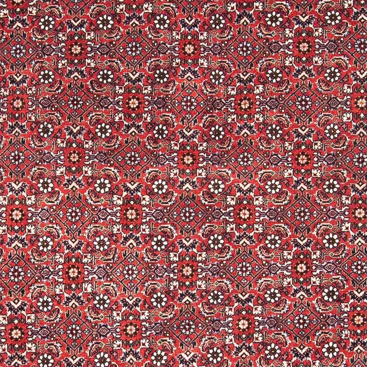 Tapis persan - Bidjar - 174 x 111 cm - rouge