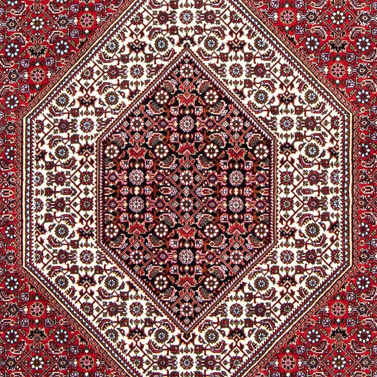 Tapis persan - Bidjar - 250 x 149 cm - rouge