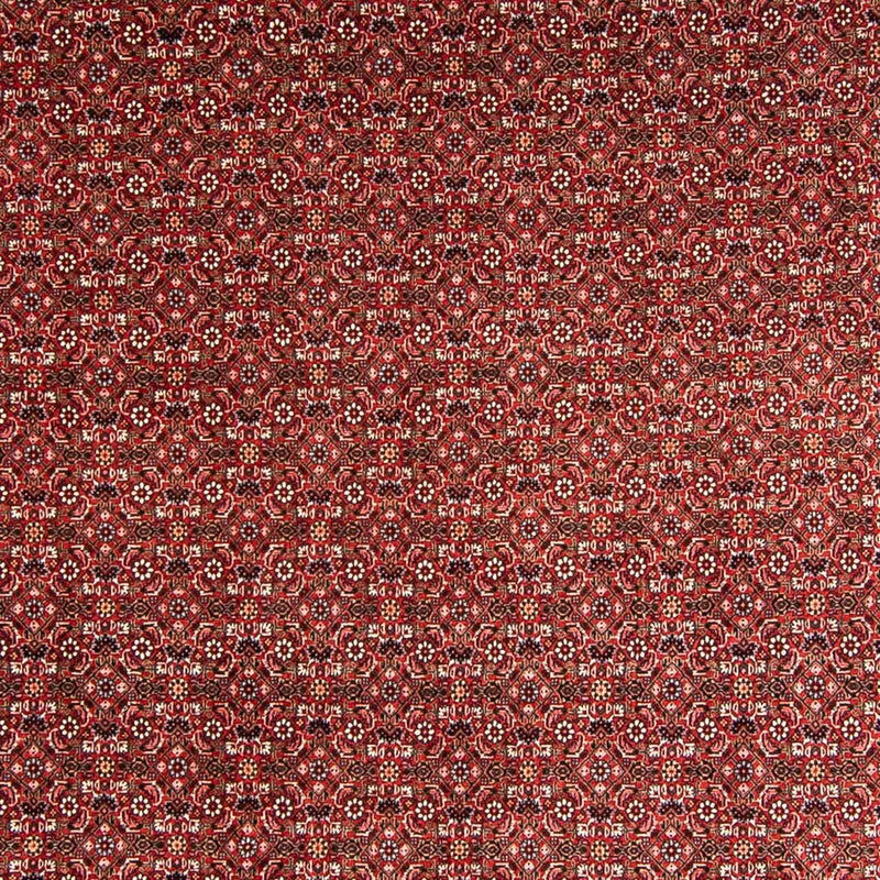 Tapis persan - Bidjar - 330 x 246 cm - rouge