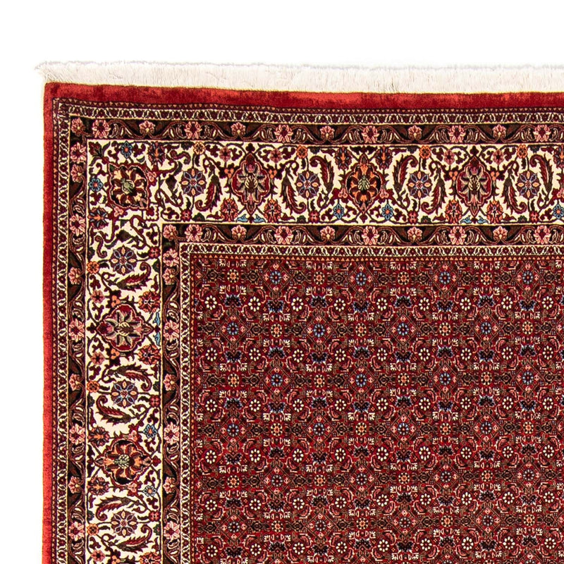 Tapis persan - Bidjar - 330 x 246 cm - rouge