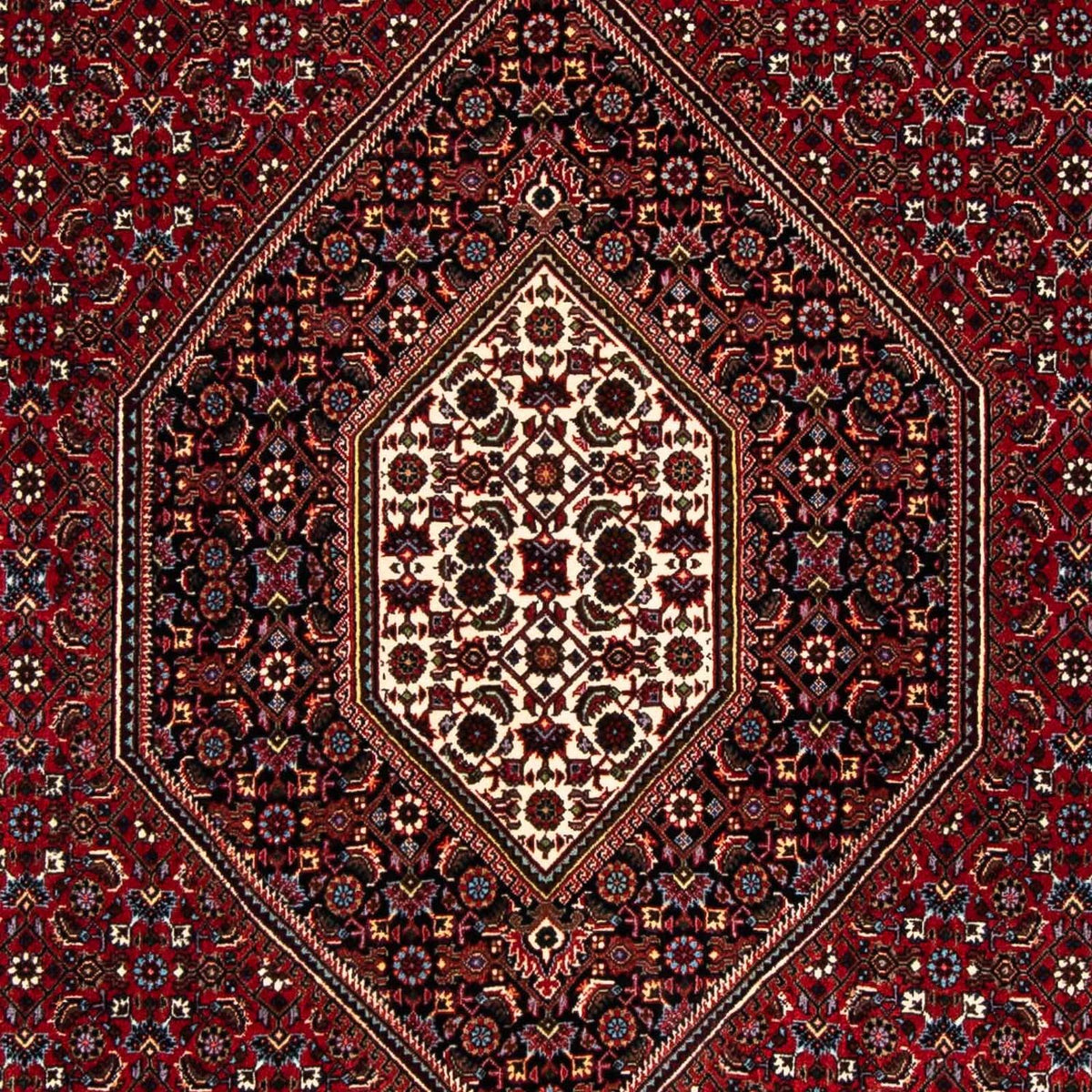 Tapis persan - Bidjar - 248 x 148 cm - rouge foncé