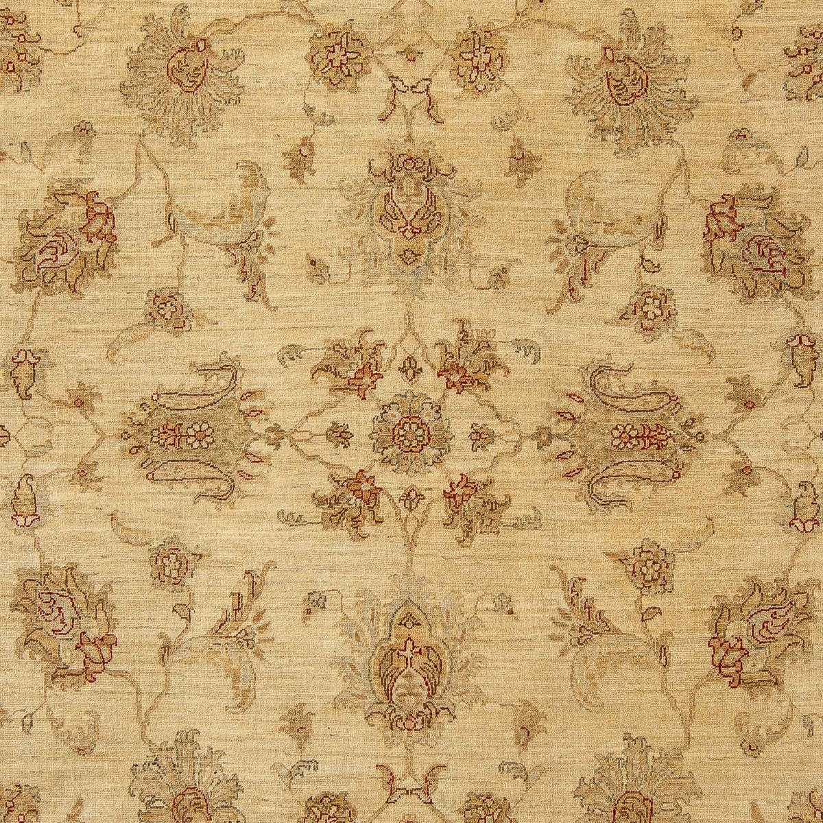 Tapis Ziegler - 315 x 246 cm - marron clair