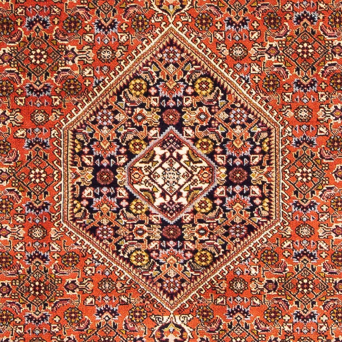 Tapis persan - Bidjar - 162 x 106 cm - rose