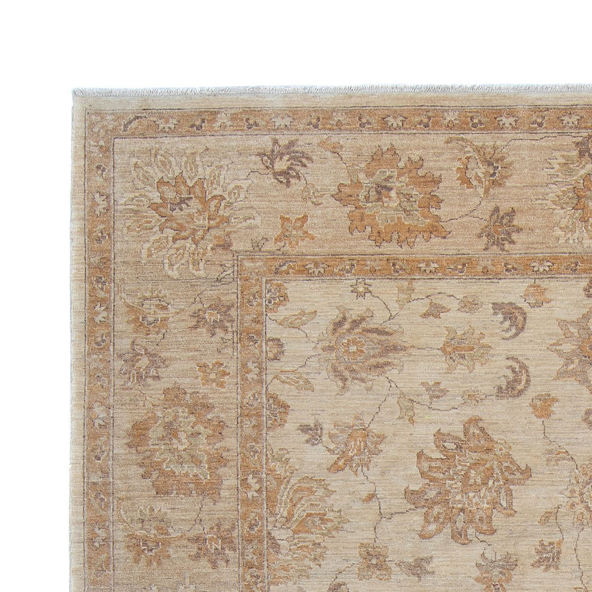 Tapis Ziegler - 337 x 249 cm - beige clair