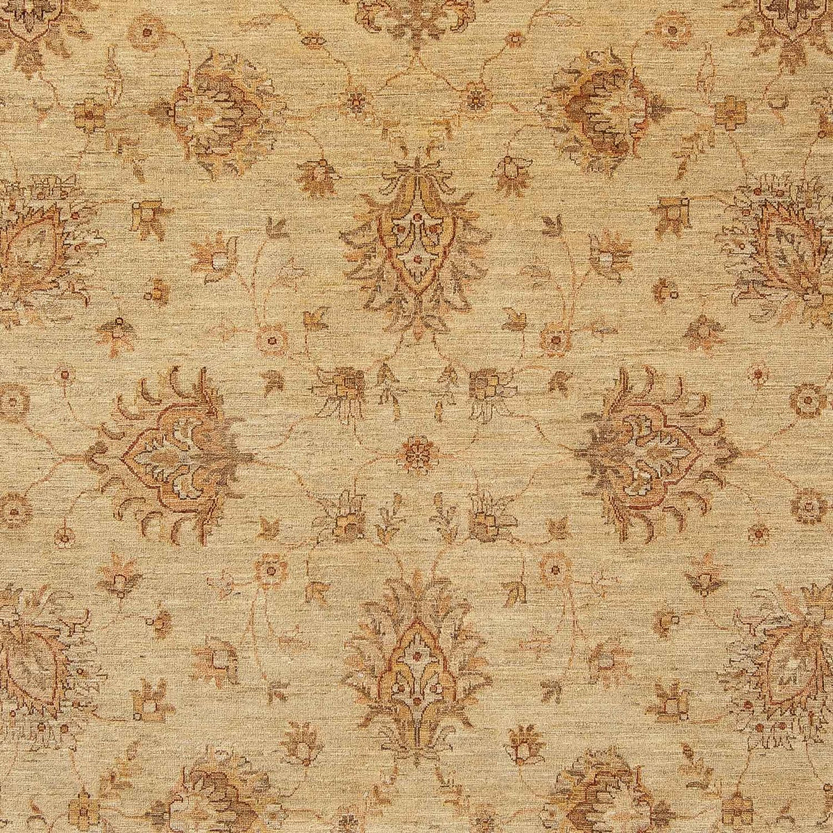 Tapis Ziegler - 293 x 244 cm - marron clair