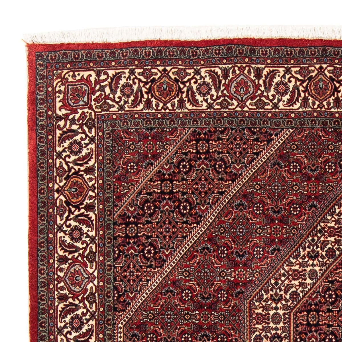 Tapis persan - Bidjar carré  - 152 x 148 cm - rouge foncé