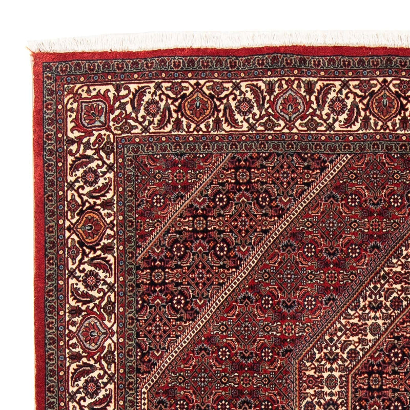 Tapis persan - Bidjar carré  - 152 x 148 cm - rouge foncé