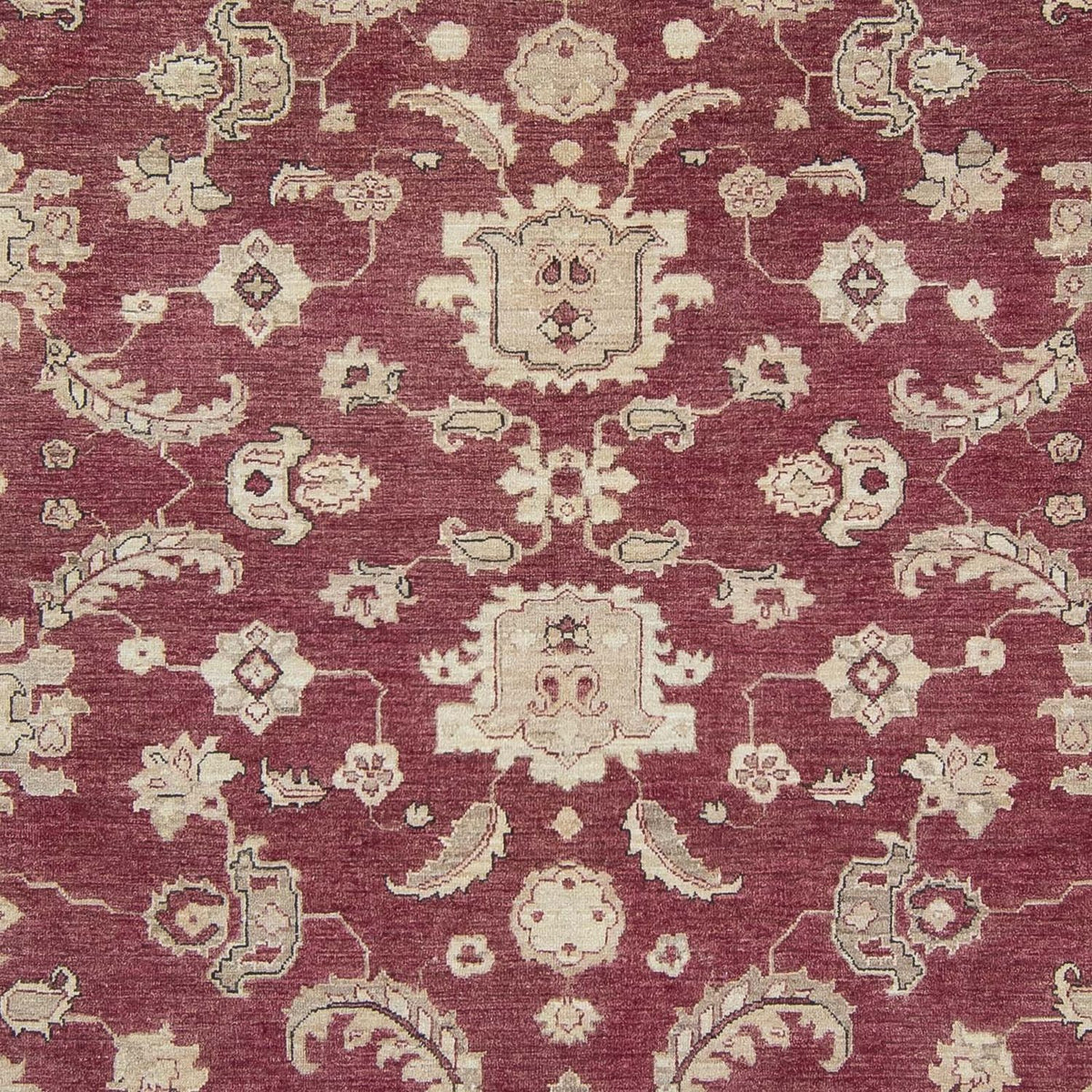 Tapis Ziegler - 345 x 262 cm - rouge vin