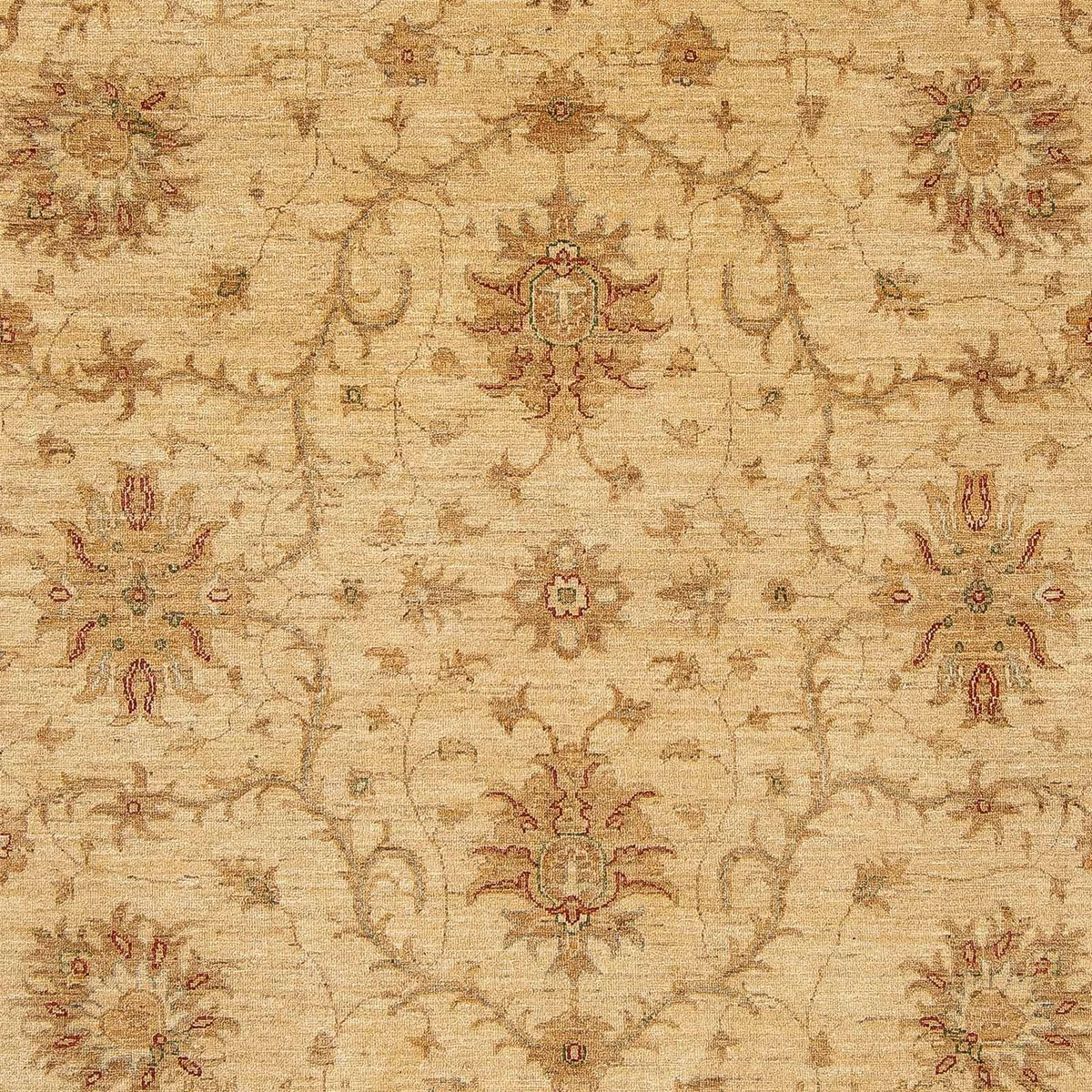 Tapis Ziegler - 296 x 245 cm - marron clair