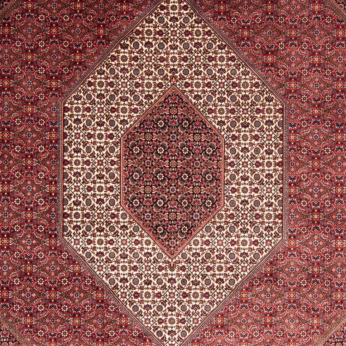Tapis persan - Bidjar - 344 x 254 cm - rouge clair