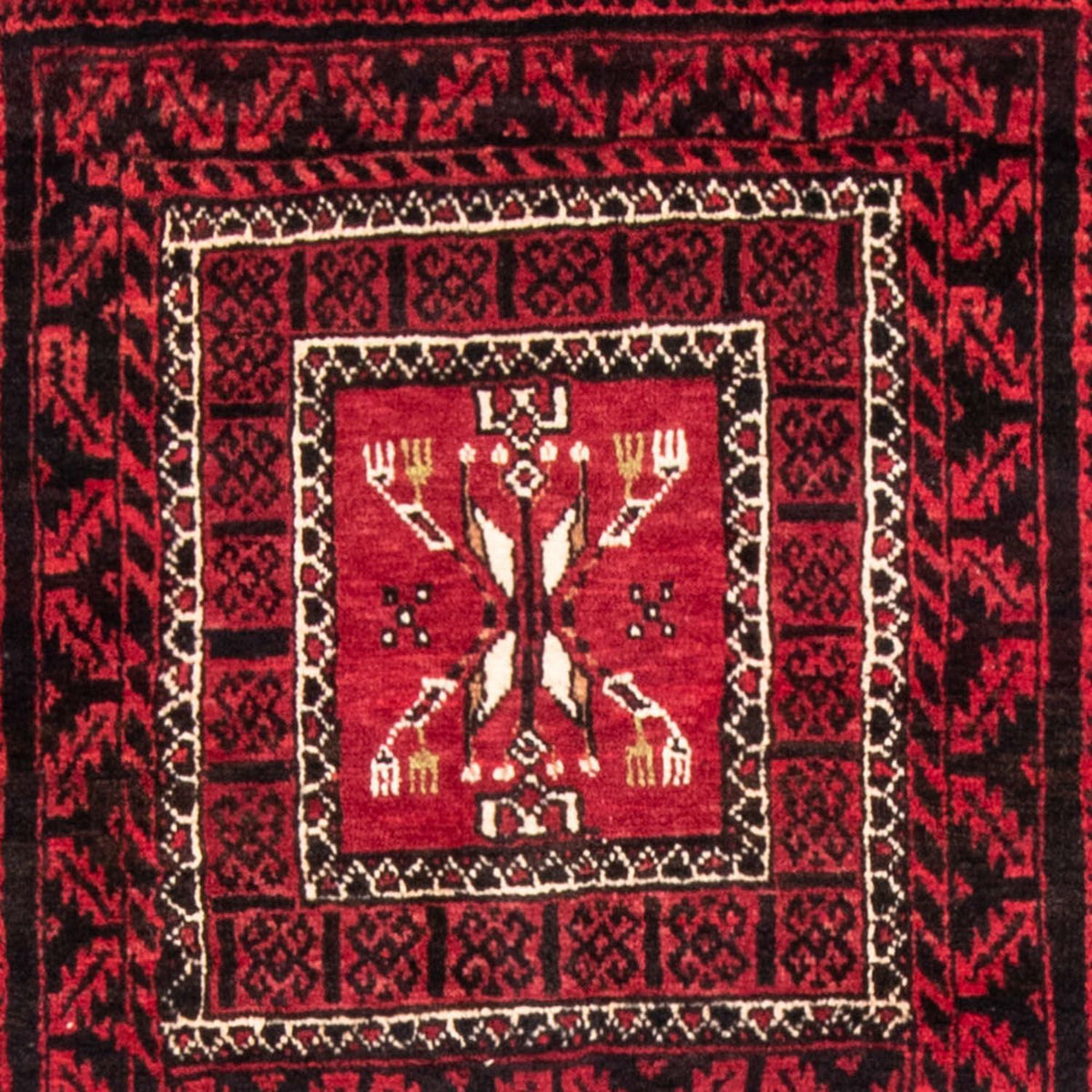 Tapis de couloir Tapis Belutsch - 220 x 114 cm - rouge