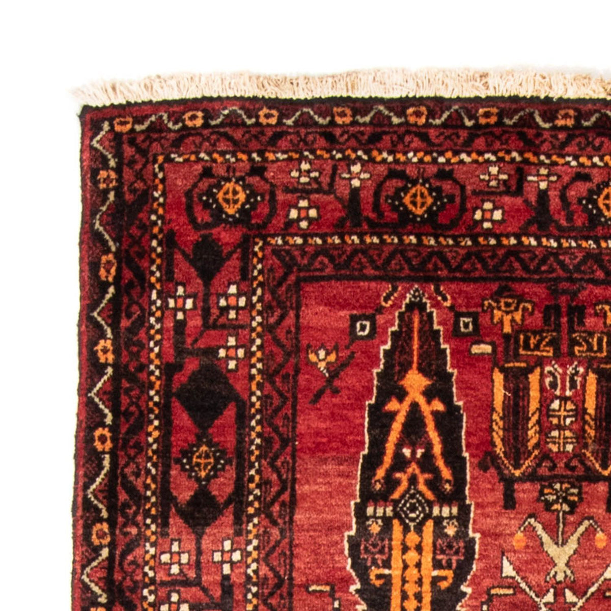 Tapis de couloir Tapis Belutsch - 180 x 102 cm - rouge