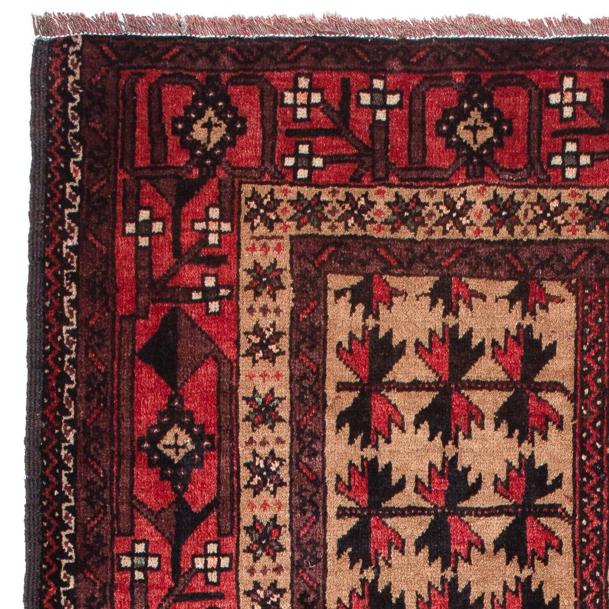 Tapis Belutsch - 156 x 98 cm - marron