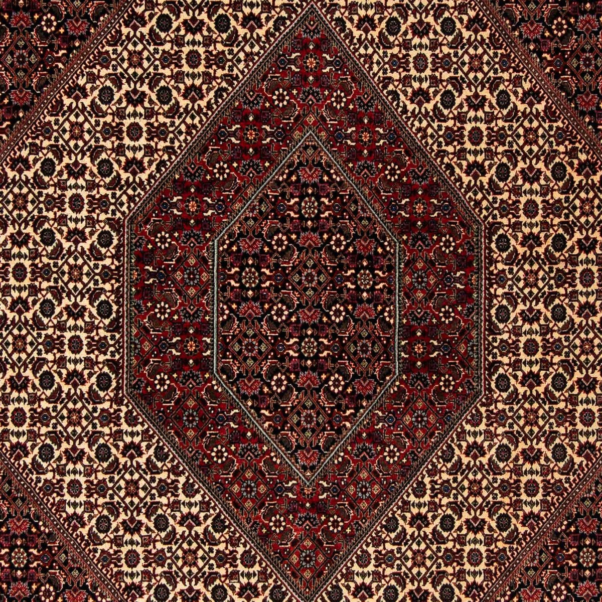 Tapis persan - Bidjar - 248 x 202 cm - rouge foncé