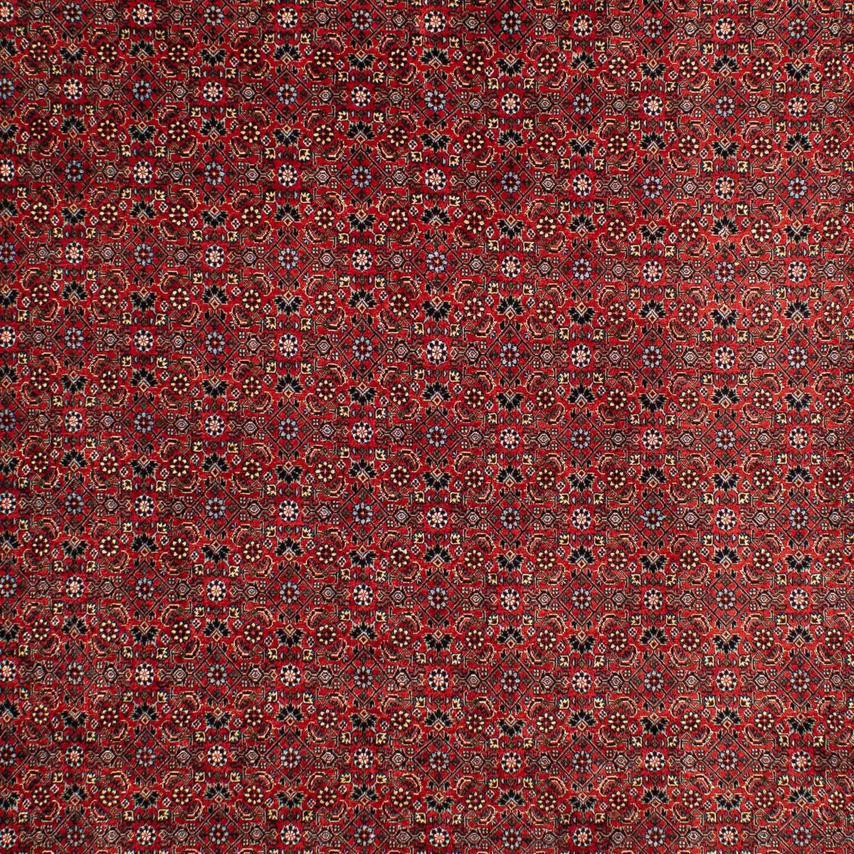Tapis persan - Bidjar - 295 x 203 cm - rouge foncé
