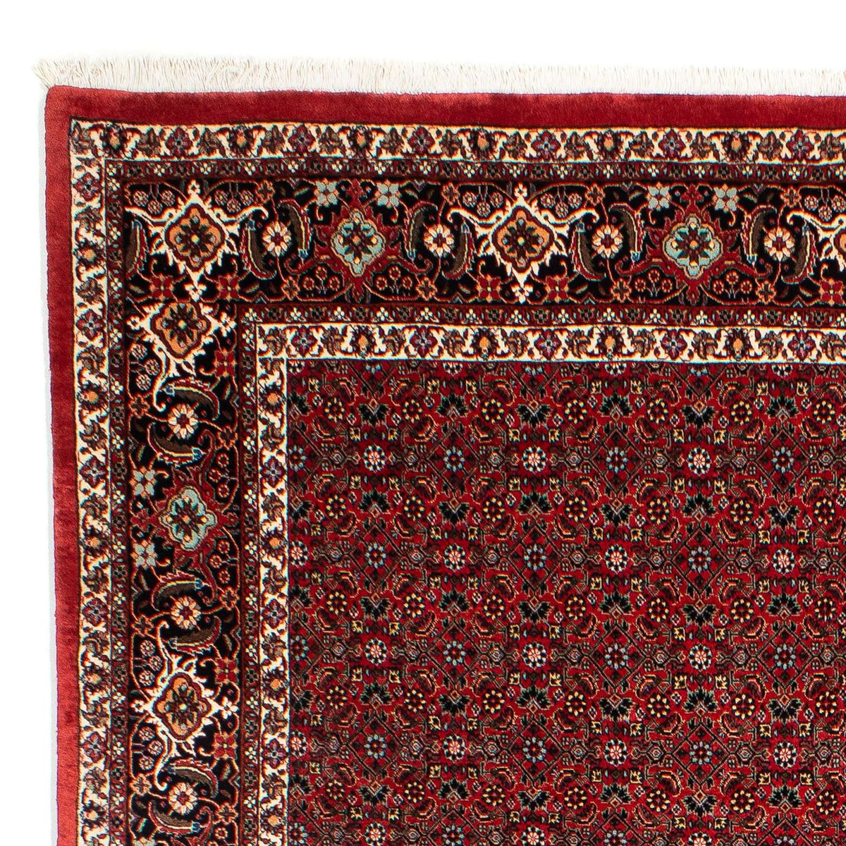 Tapis persan - Bidjar - 295 x 203 cm - rouge foncé