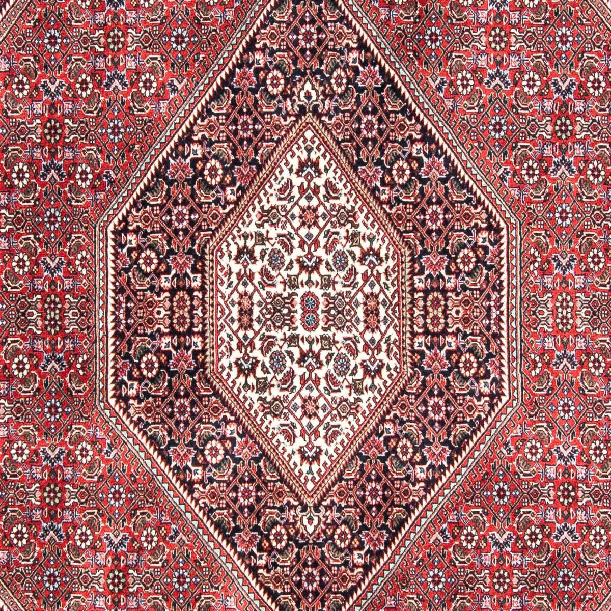 Tapis persan - Bidjar - 237 x 168 cm - rouge clair