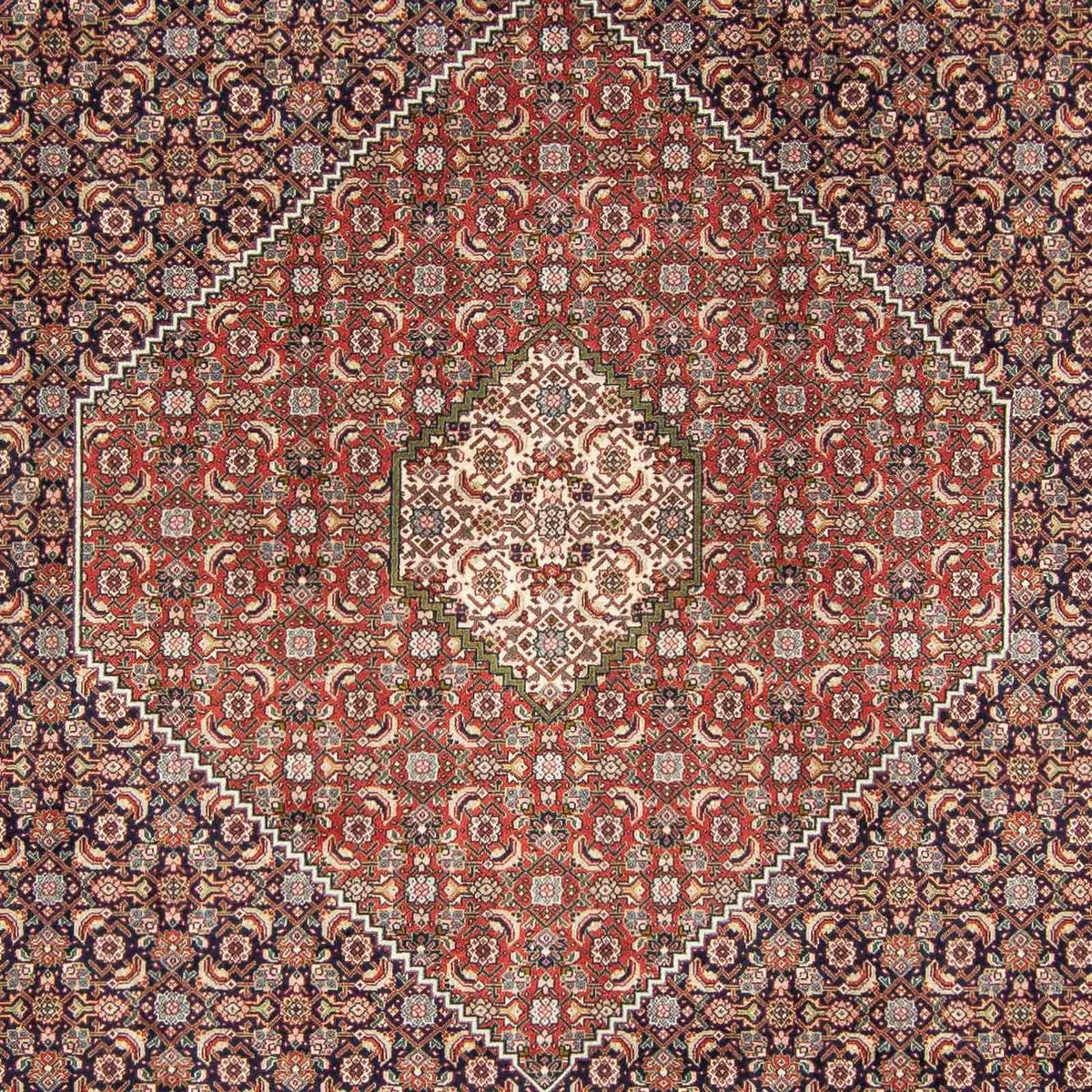 Tapis persan - Tabriz - 343 x 246 cm - multicolore