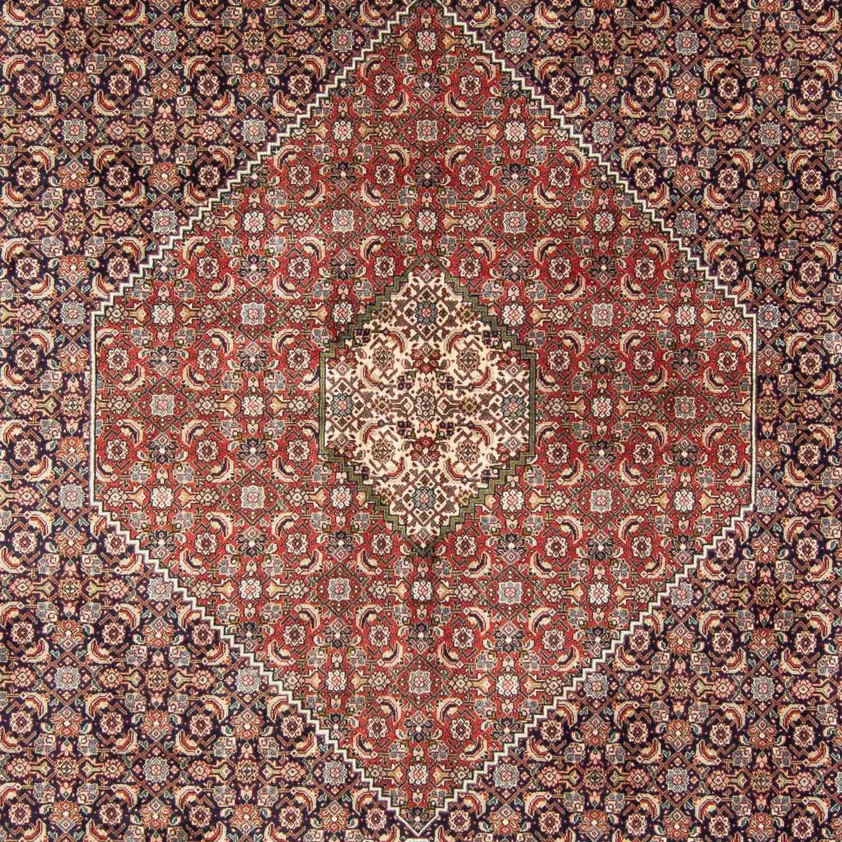 Tapis persan - Tabriz - 343 x 247 cm - multicolore