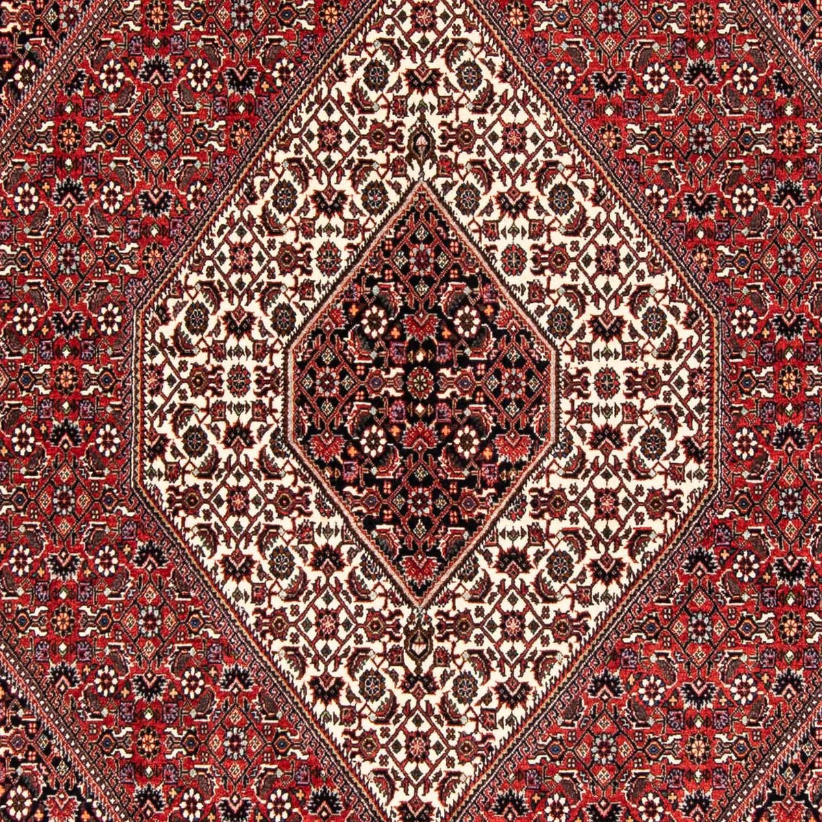 Tapis persan - Bidjar - 243 x 170 cm - rouge clair