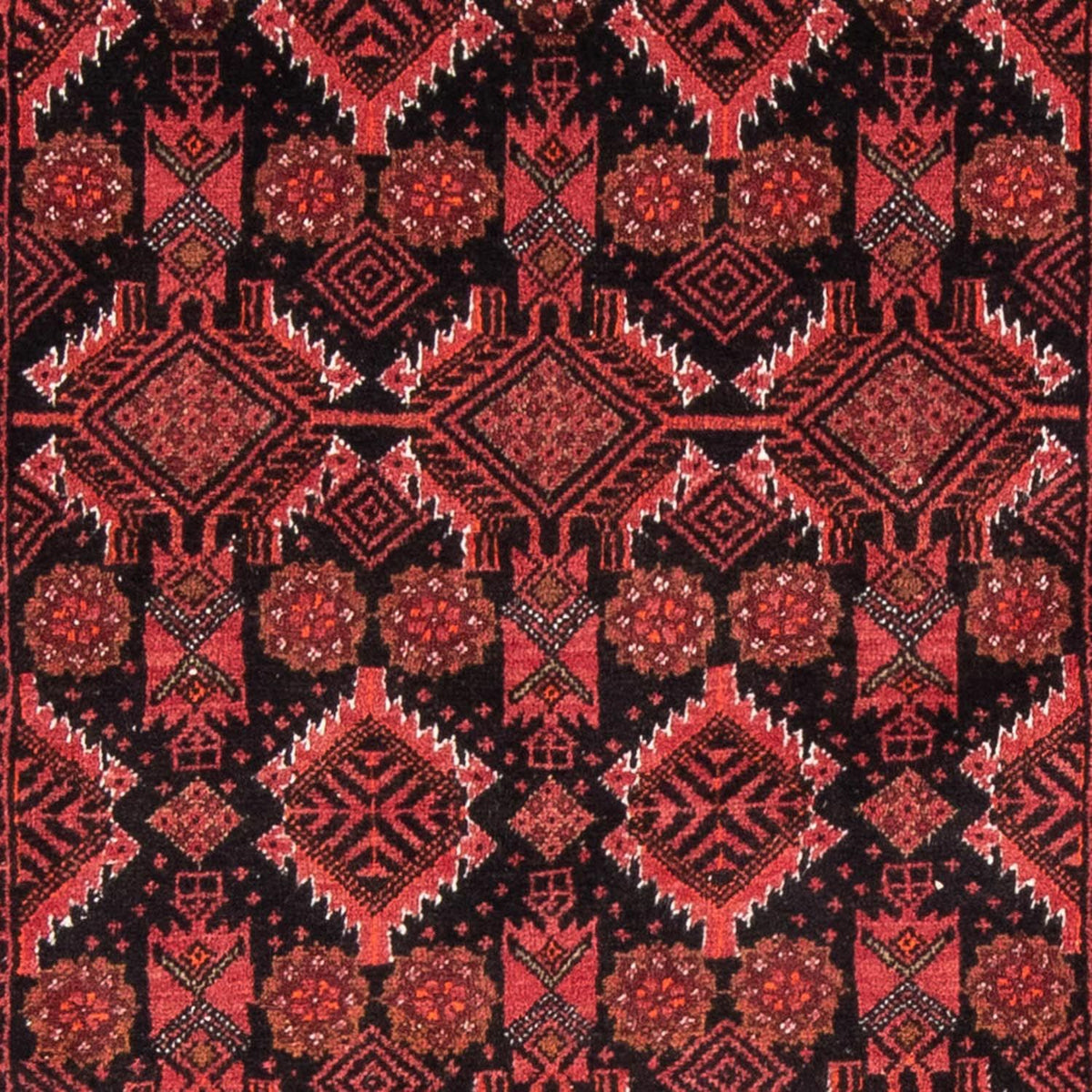 Tapis de couloir Tapis Belutsch - 187 x 99 cm - rouge