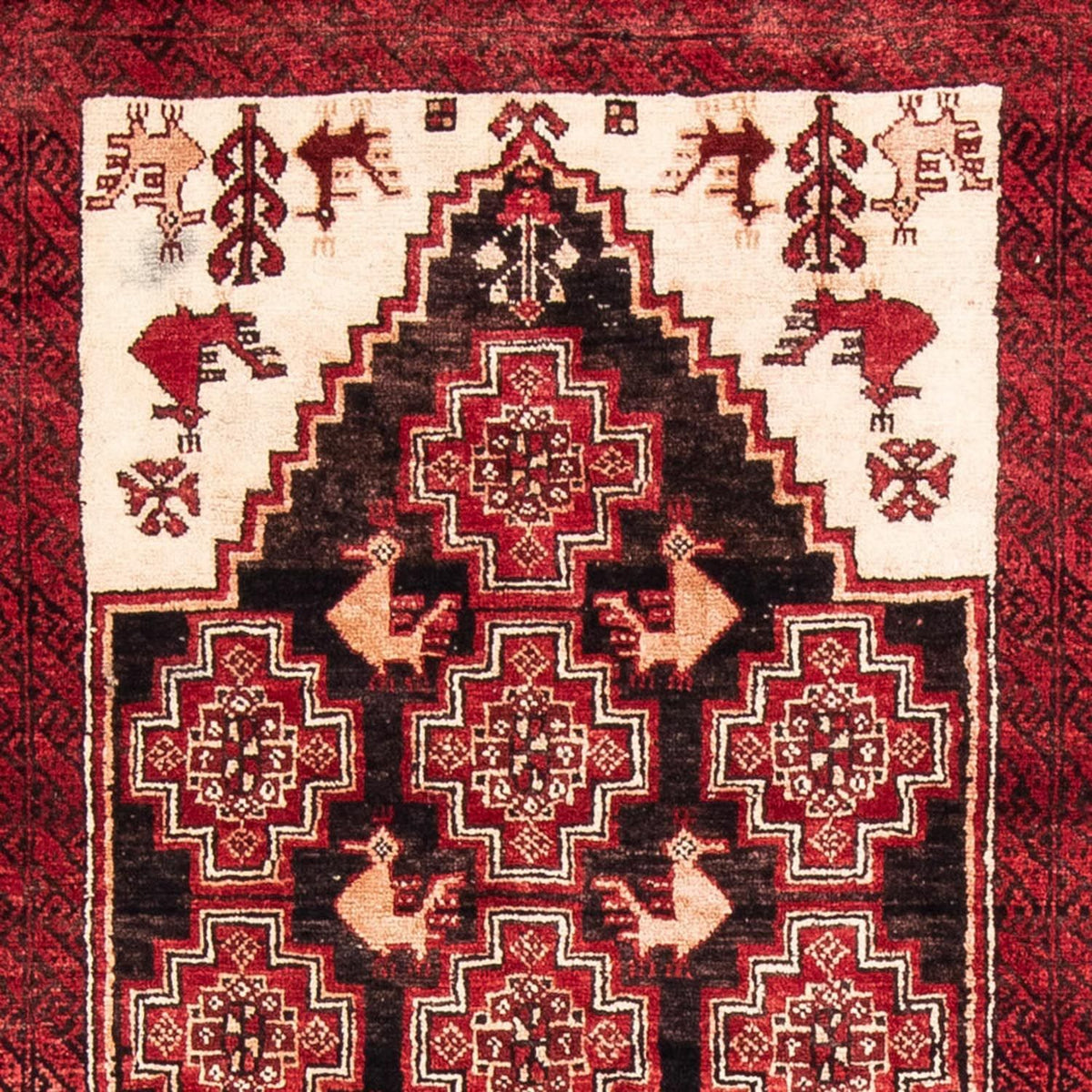 Tapis de couloir Tapis Belutsch - 202 x 100 cm - rouge