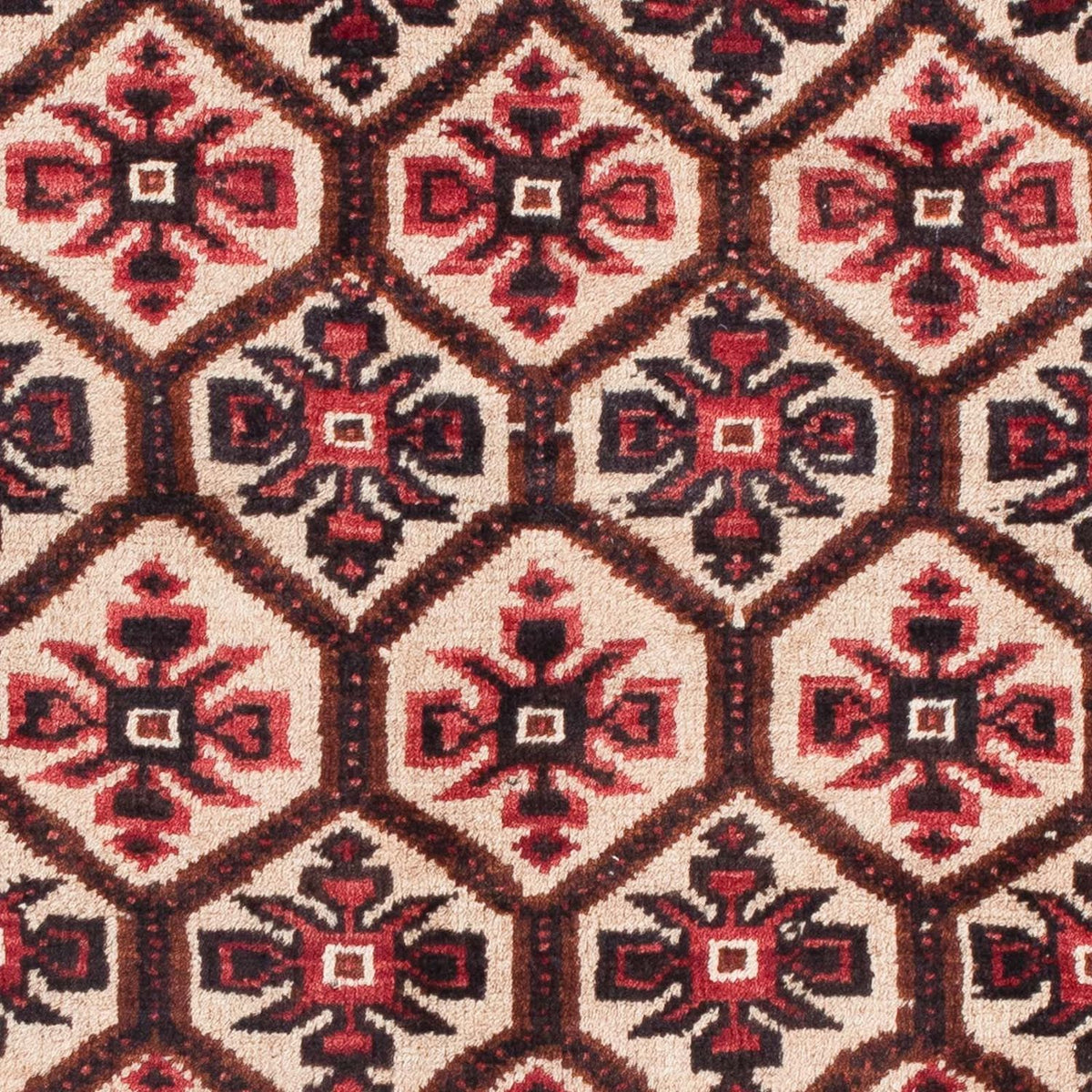 Tapis Belutsch - 150 x 86 cm - beige