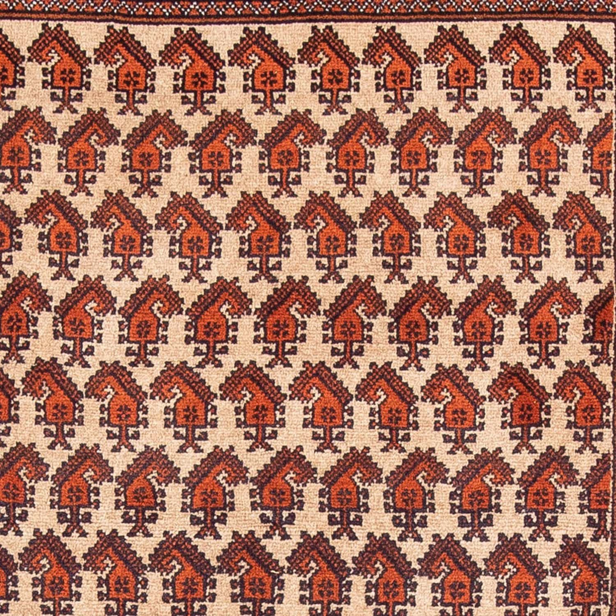 Tapis de couloir Tapis Belutsch - 178 x 100 cm - beige