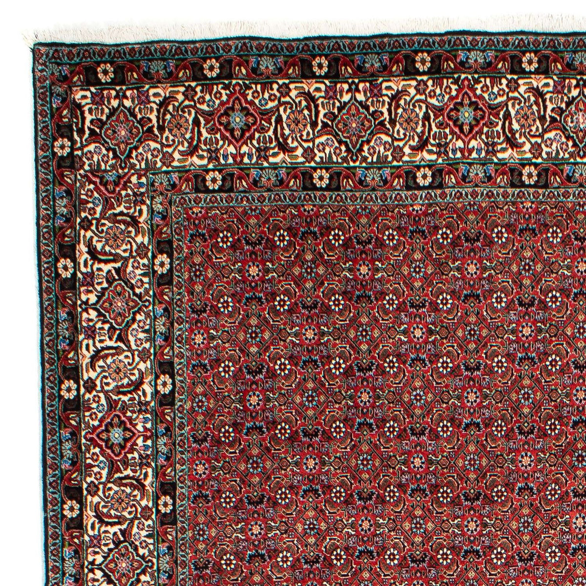 Tapis persan - Bidjar - 299 x 203 cm - rouge clair