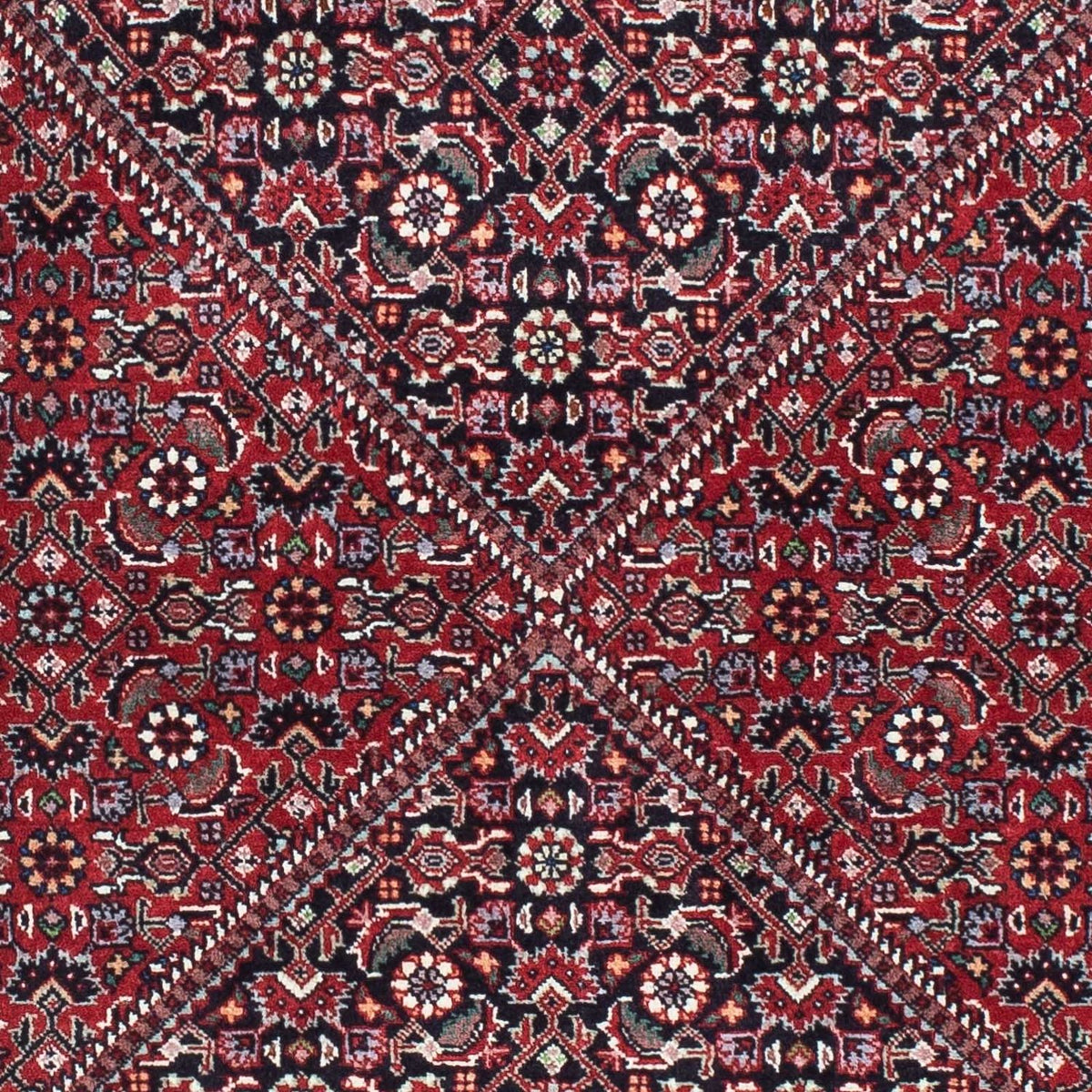 Tapis de couloir Tapis persan - Bidjar - 223 x 73 cm - rouge