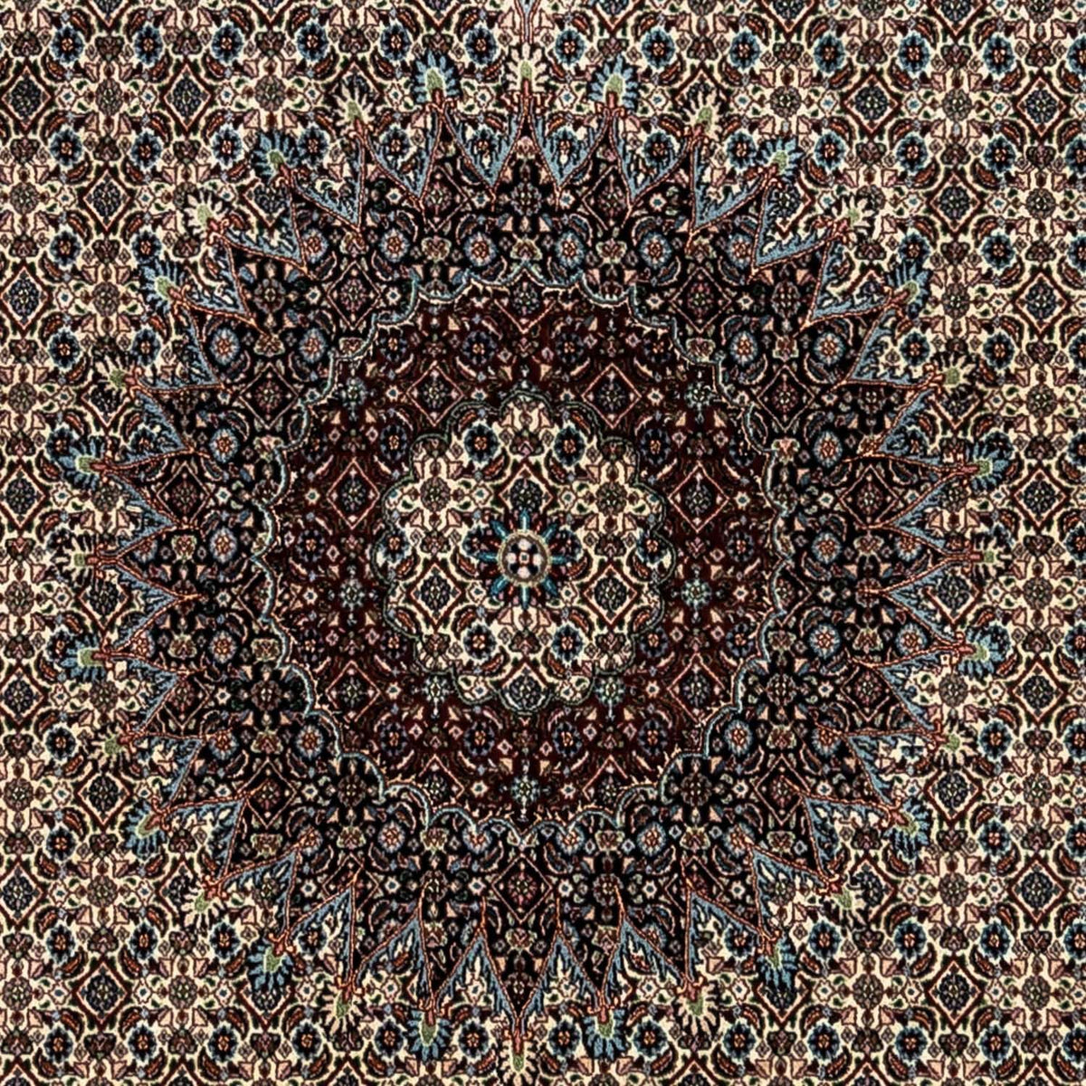 Tapis persan - Classique - 346 x 245 cm - beige