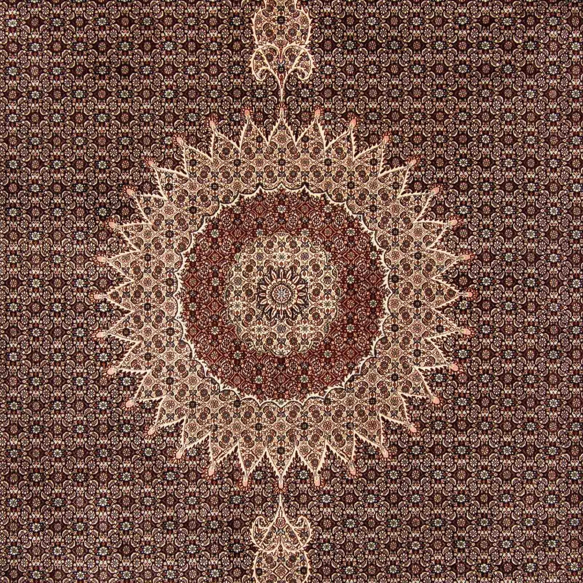 Tapis persan - Classique - 385 x 298 cm - marron clair