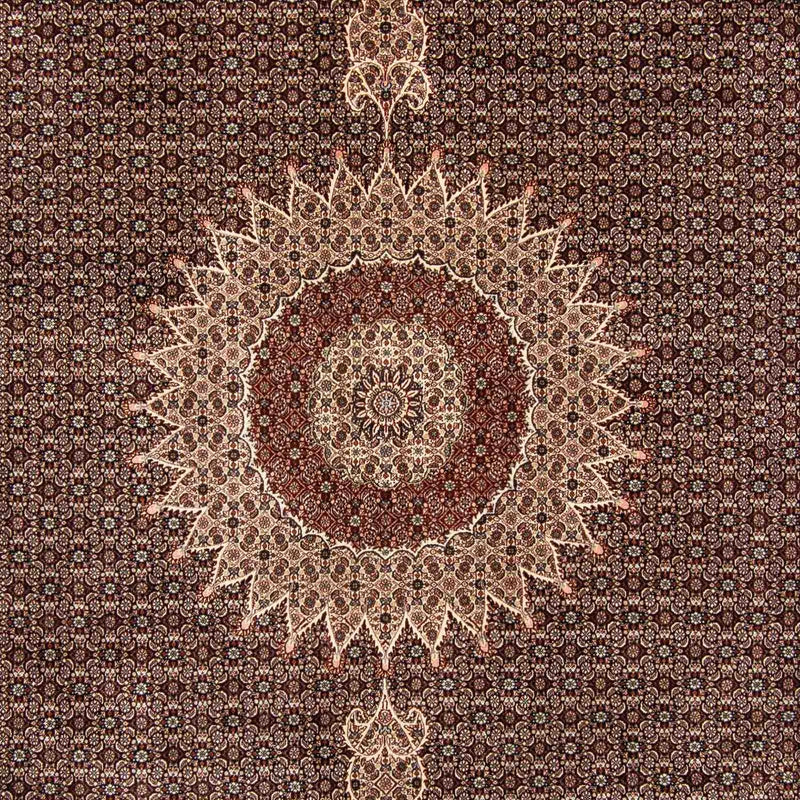 Tapis persan - Classique - 385 x 298 cm - marron clair