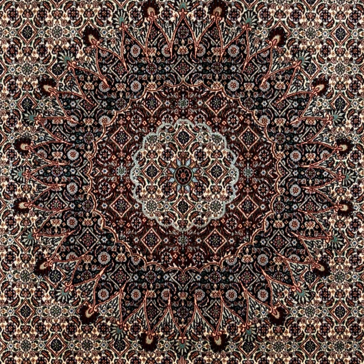Tapis persan - Classique - 360 x 251 cm - beige