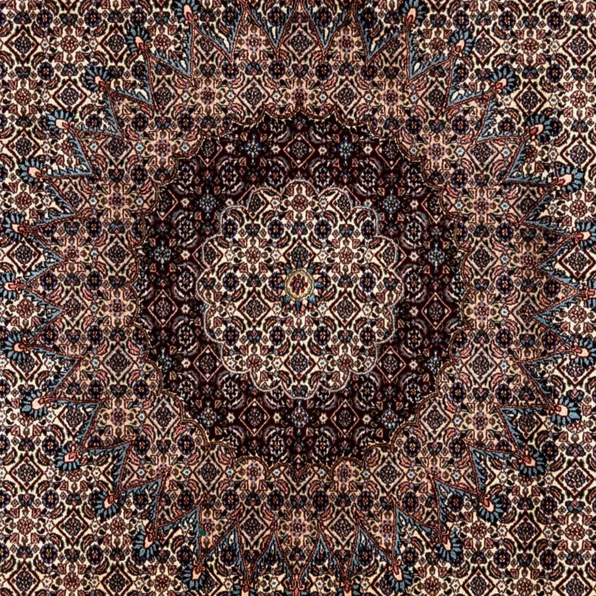 Tapis persan - Classique - 348 x 247 cm - beige