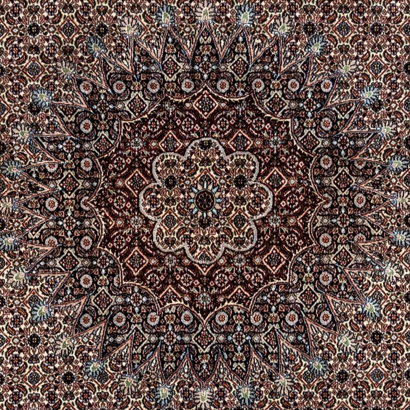 Tapis persan - Classique - 344 x 246 cm - beige