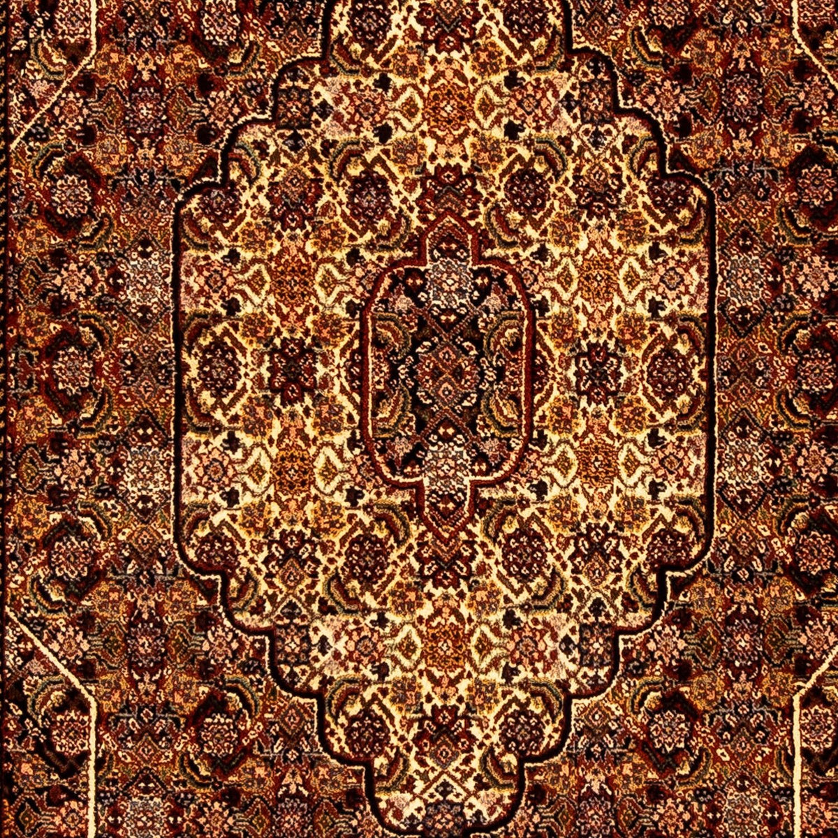 Tapis de couloir Tapis persan - Nomadic - 250 x 110 cm - marron
