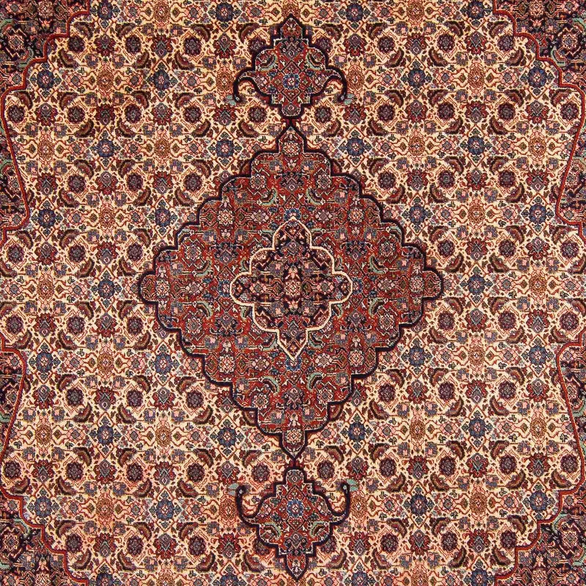 Tapis persan - Nomadic - 343 x 267 cm - marron
