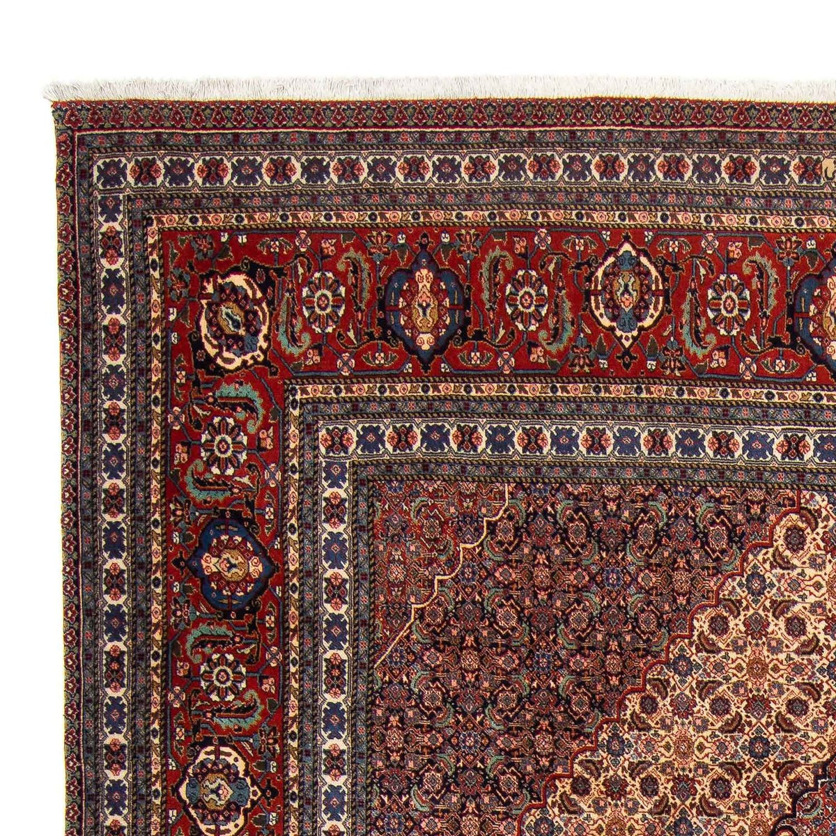 Tapis persan - Nomadic - 343 x 267 cm - marron