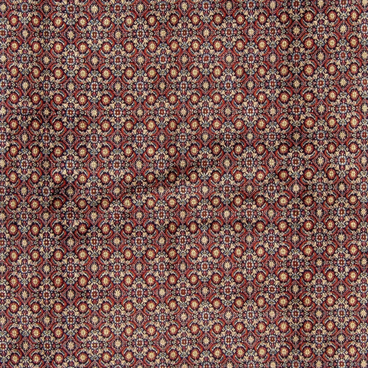 Tapis persan - Classique carré  - 252 x 252 cm - multicolore