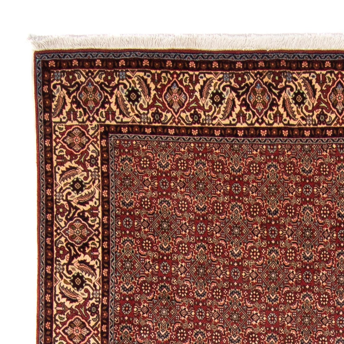 Tapis persan - Bidjar - 298 x 200 cm - rouge foncé